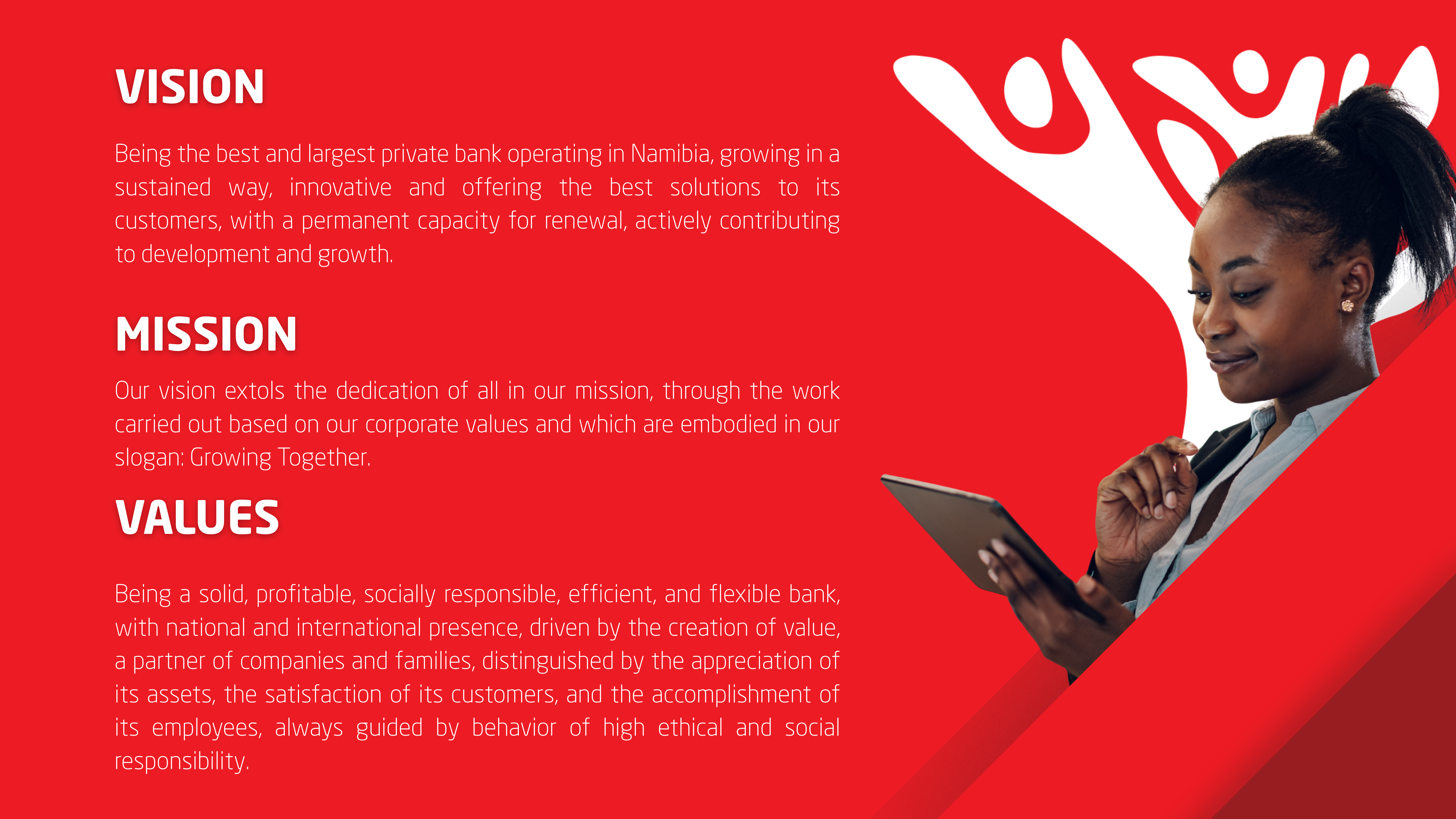 Bank BIC Namibia - Corporate Profile 2025 - Final.png